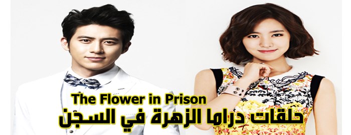 جميع حلقات مسلسل الزهرة في السجن The Flower In Prison Episodes مترجم