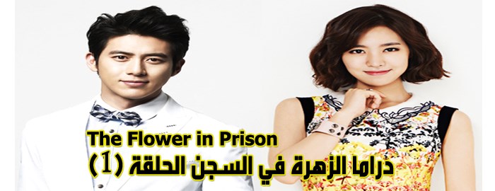 مسلسل The Flower In Prison Episode 1 الحلقة 1 الزهرة في السجن مترجم
